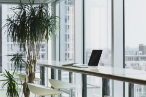 Green businesses win the market: 6 eco-friendly practices that can ensure your success
