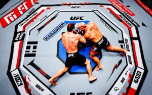 all submissions in ufc 4