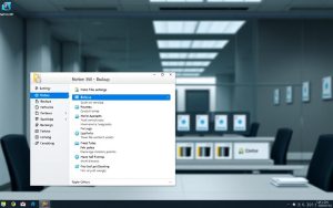 Norton 360 backup management