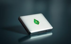 Robinhood crypto wallet security