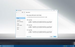 Windows update delay options