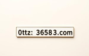 Bitcoin Wallet Address
