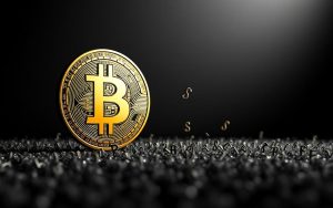 how many bitcoins is a satoshi